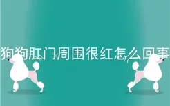 狗狗肛门周围很红怎么回事