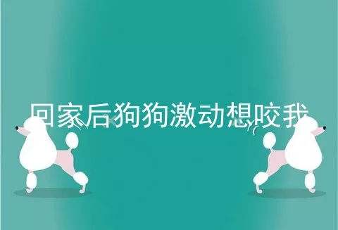 回家后狗狗激动想咬我