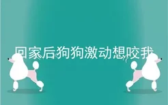 回家后狗狗激动想咬我