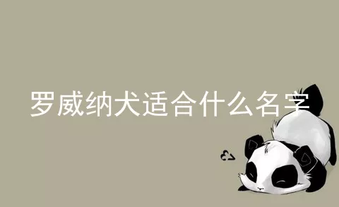 罗威纳犬适合什么名字