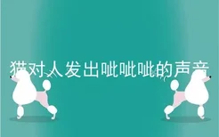 猫对人发出呲呲呲的声音