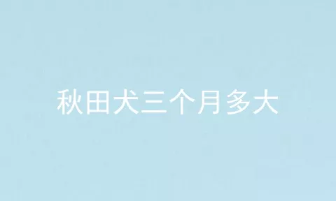 秋田犬三个月多大