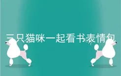 三只猫咪一起看书表情包