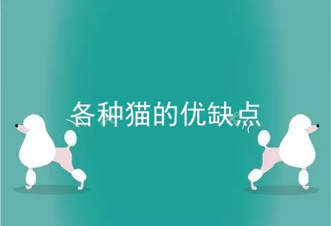 各种猫的优缺点