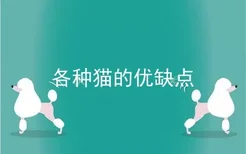 各种猫的优缺点