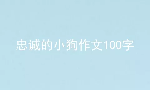 忠诚的小狗作文100字