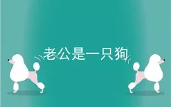 老公是一只狗