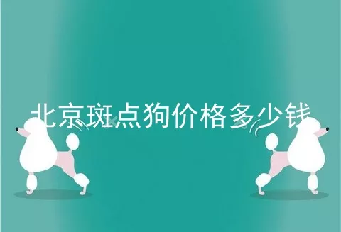 北京斑点狗价格多少钱