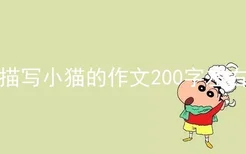 描写小猫的作文200字左右