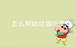 怎么帮助幼猫排便