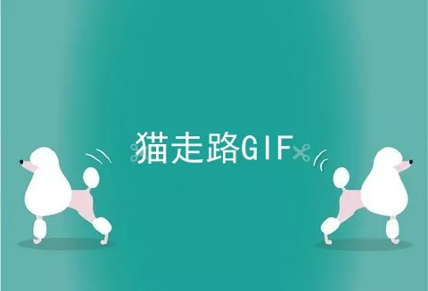 猫走路GIF