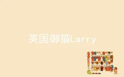 英国御猫Larry