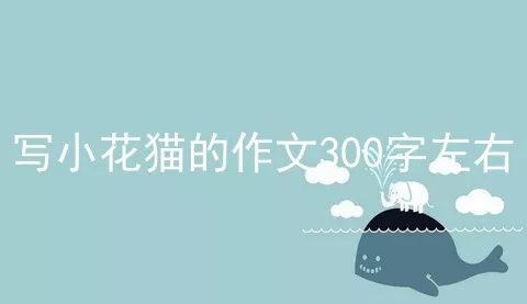 写小花猫的作文300字左右