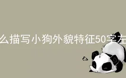 怎么描写小狗外貌特征50字左右