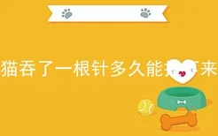 猫吞了一根针多久能拉下来