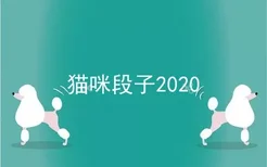 猫咪段子2020