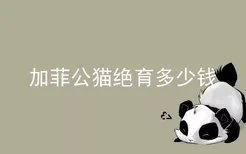 加菲公猫绝育多少钱