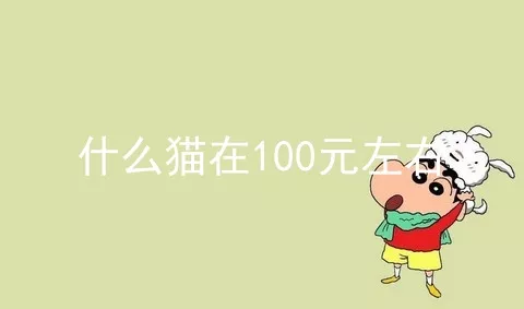 什么猫在100元左右