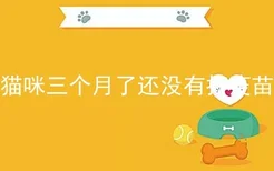 猫咪三个月了还没有打疫苗