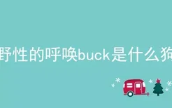 野性的呼唤buck是什么狗