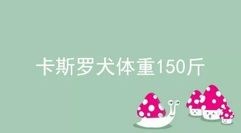 卡斯罗犬体重150斤