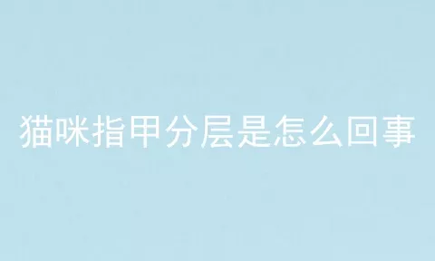 猫咪指甲分层是怎么回事