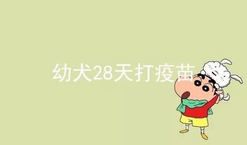 幼犬28天打疫苗