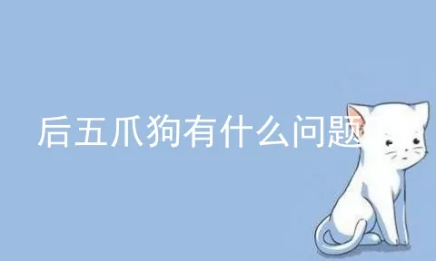 后五爪狗有什么问题吗