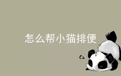 怎么帮小猫排便