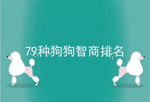 79种狗狗智商排名