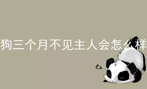 狗三个月不见主人会怎么样