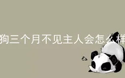 狗三个月不见主人会怎么样