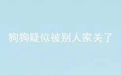 狗狗疑似被别人家关了