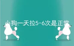 小狗一天拉5-6次是正常