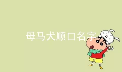 母马犬顺口名字