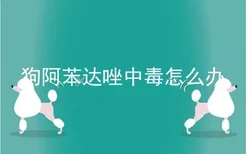 狗阿苯达唑中毒怎么办