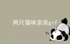 两只猫咪亲亲gif