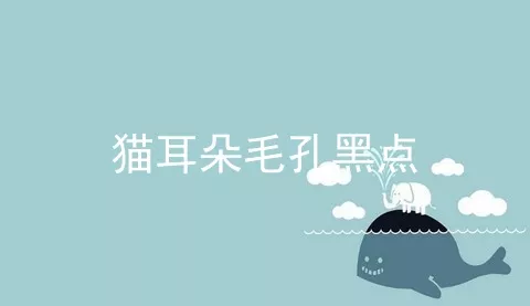 猫耳朵毛孔黑点