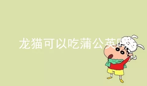 龙猫可以吃蒲公英吗