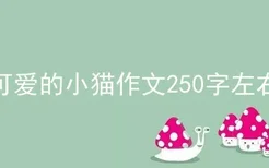 可爱的小猫作文250字左右