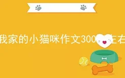 我家的小猫咪作文300字左右