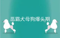 恶霸犬母狗爆头期