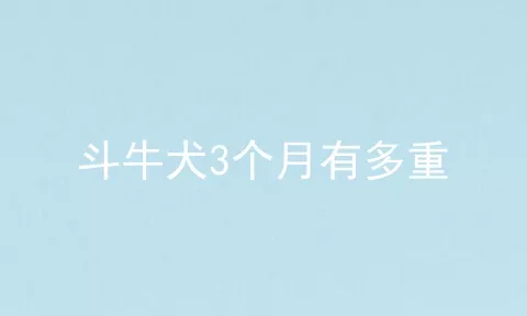 斗牛犬3个月有多重