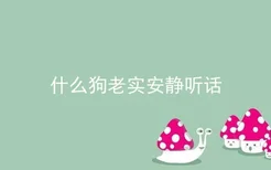 什么狗老实安静听话