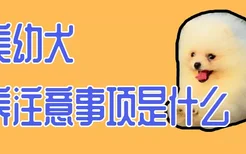 博美幼犬喂养注意事项是什么