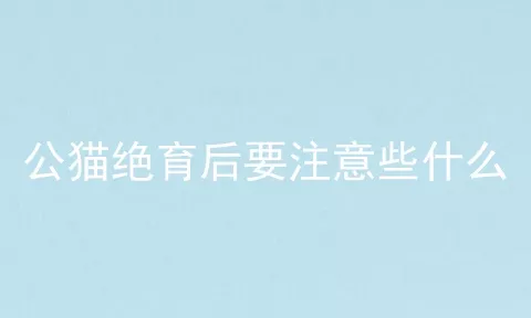 公猫绝育后要注意些什么