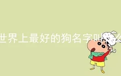 世界上最好的狗名字叫什么