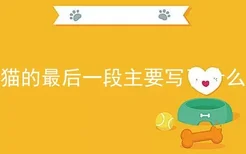 猫的最后一段主要写了什么