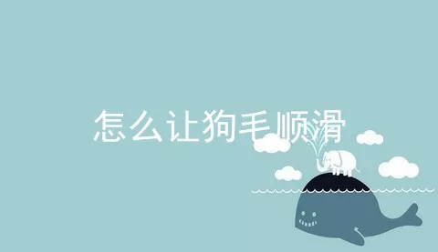 怎么让狗毛顺滑