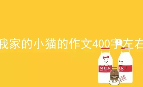 我家的小猫的作文400字左右